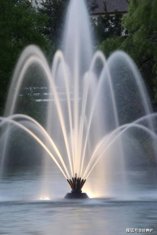 起起落落的"喷泉",才是人生!