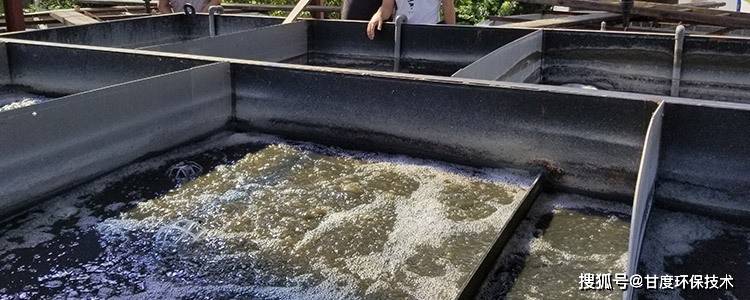 养猪污水处理设备的革新与应用