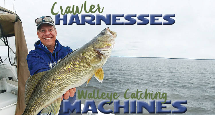 爬虫钓组集合了光声响优点路亚钓法