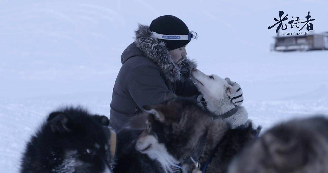《光语者》：细腻镜头还原北极生活，暖心故事引发心灵震撼