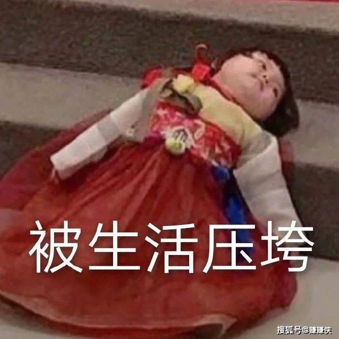 最新表情包图片:别睡了,小懒猪,我都看见了-搜狐大视野-搜狐新闻