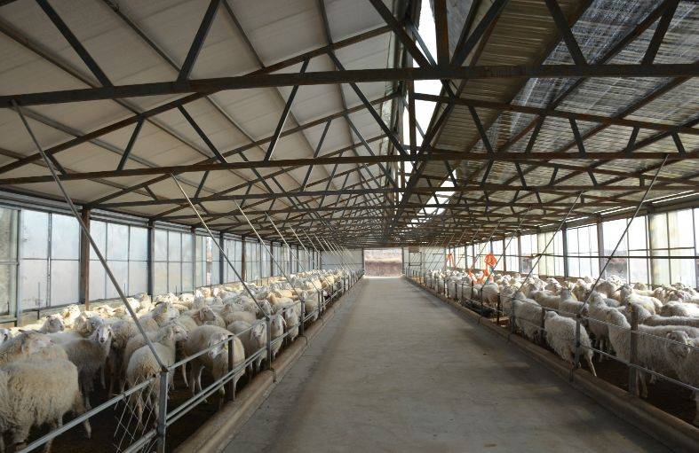 养殖业又出新政策!速看!