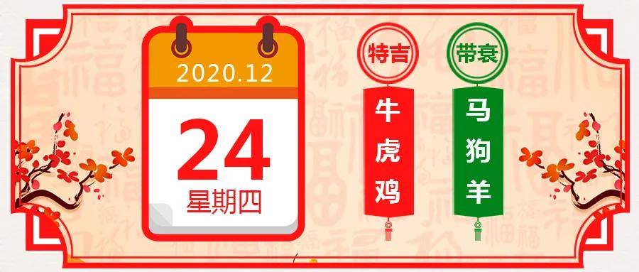 每日十二生肖運勢丨12月24號