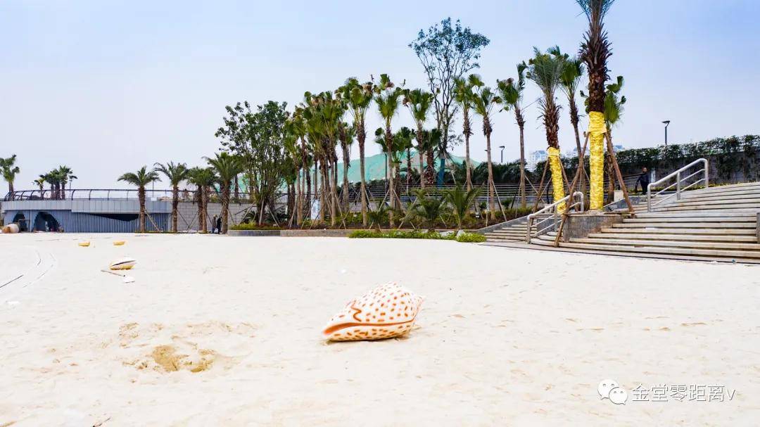 大变样金堂这座高颜值生态湿地公园即将完工春节前可欣赏水舞秀喷泉