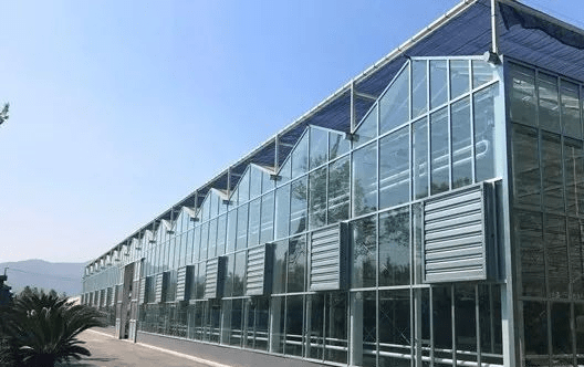 专业玻璃温室大棚的使用