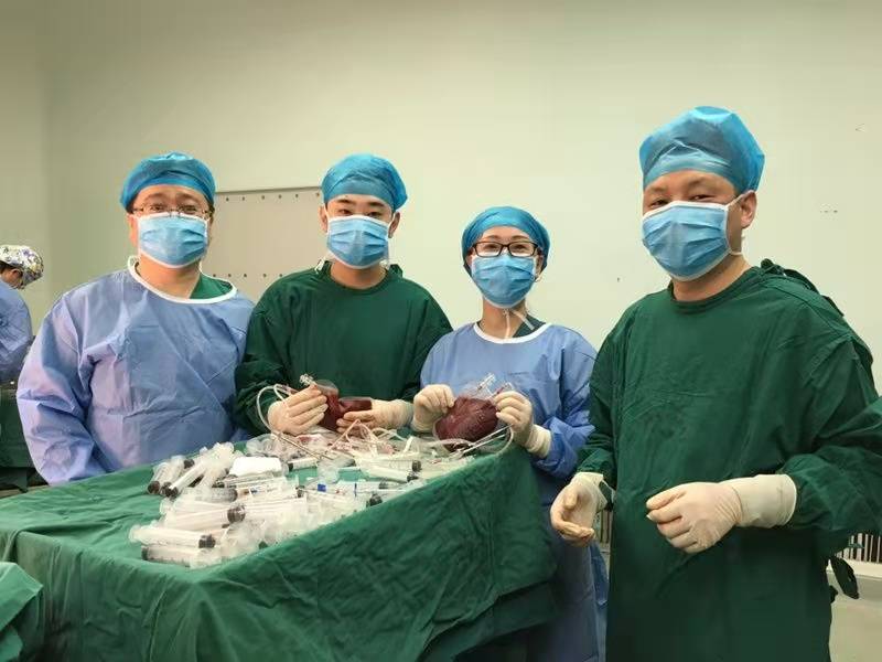 移植团队正在采集骨髓造血干细胞