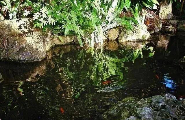 魚塘養殖升級了活水養魚是優勢項目養殖技術能否推廣