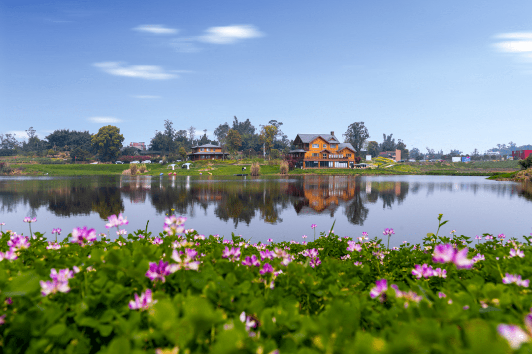 美丽乡村2020成绩单出炉——田园新村胡不归,美丽蜕变正当时_手机搜狐