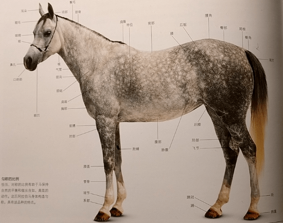 原创光秦兵俑有绿脸,马俑涂装也走结合风?秦始皇手办比唐三彩更精彩