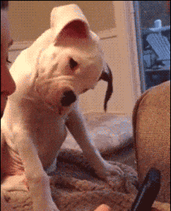 搞笑gif段子小时候就这样经常玩水没少挨打