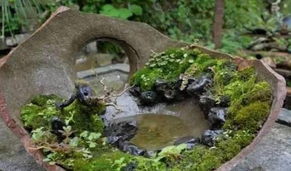 接着爸爸带着他的孙子开始了制作盆景过程,我呢正好无聊,就记录下了