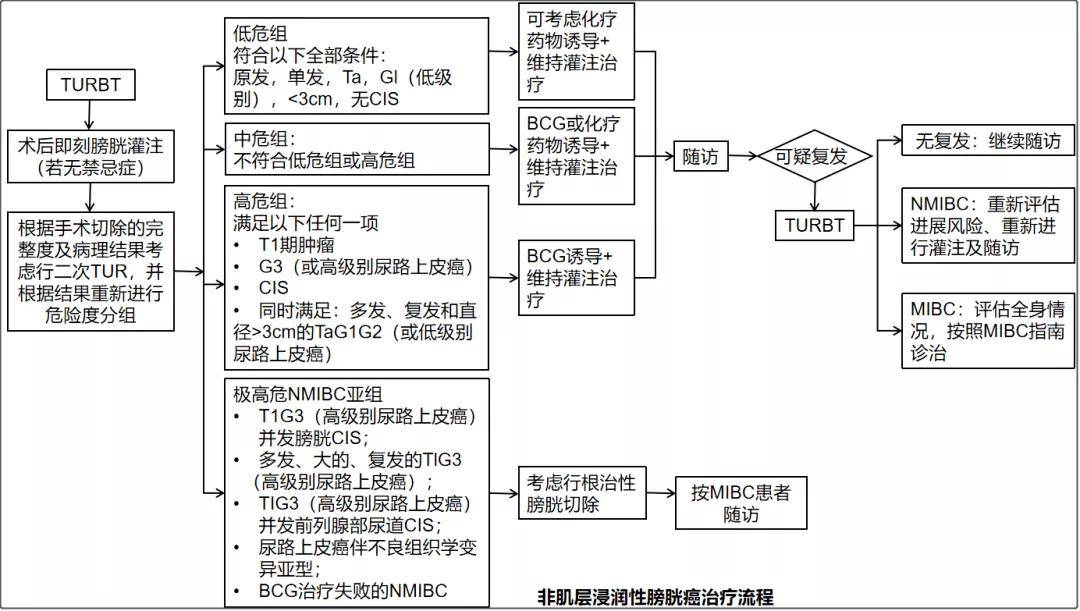 行业研究膀胱癌免疫检查点抑制剂药物回顾及市场机会分析