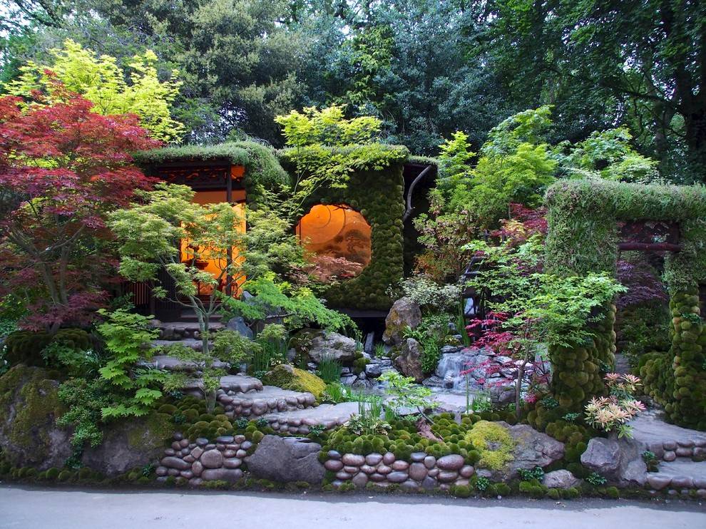 日本精致的小院图片图片
