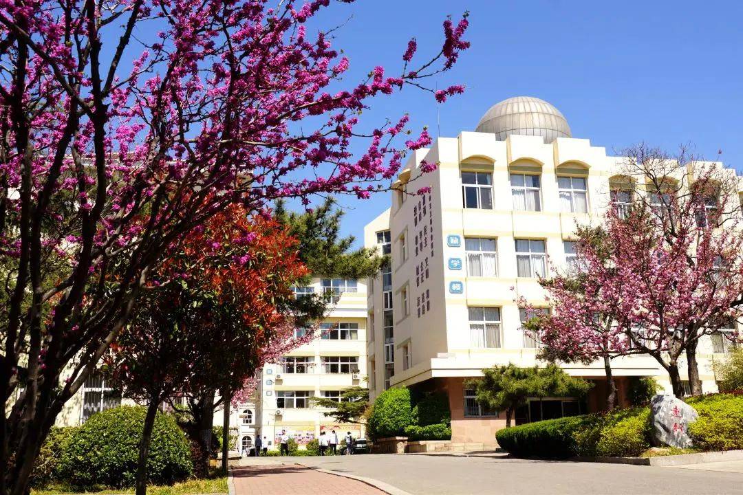 名校巡礼美术专业教育的精品屋青岛十七中