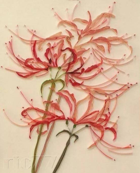 衍纸不一定要卷来卷去,纸条这样处理,做出来的花更加柔美