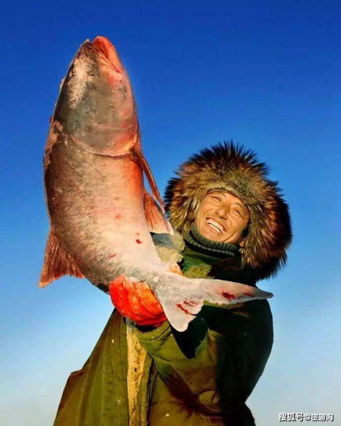 查干湖冬捕开始了，为啥每年捕的鱼都不减少？当地人：全是洗澡鱼