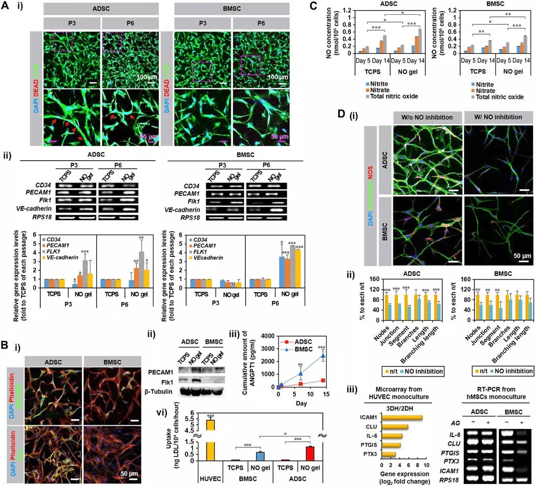 原创《science adv.