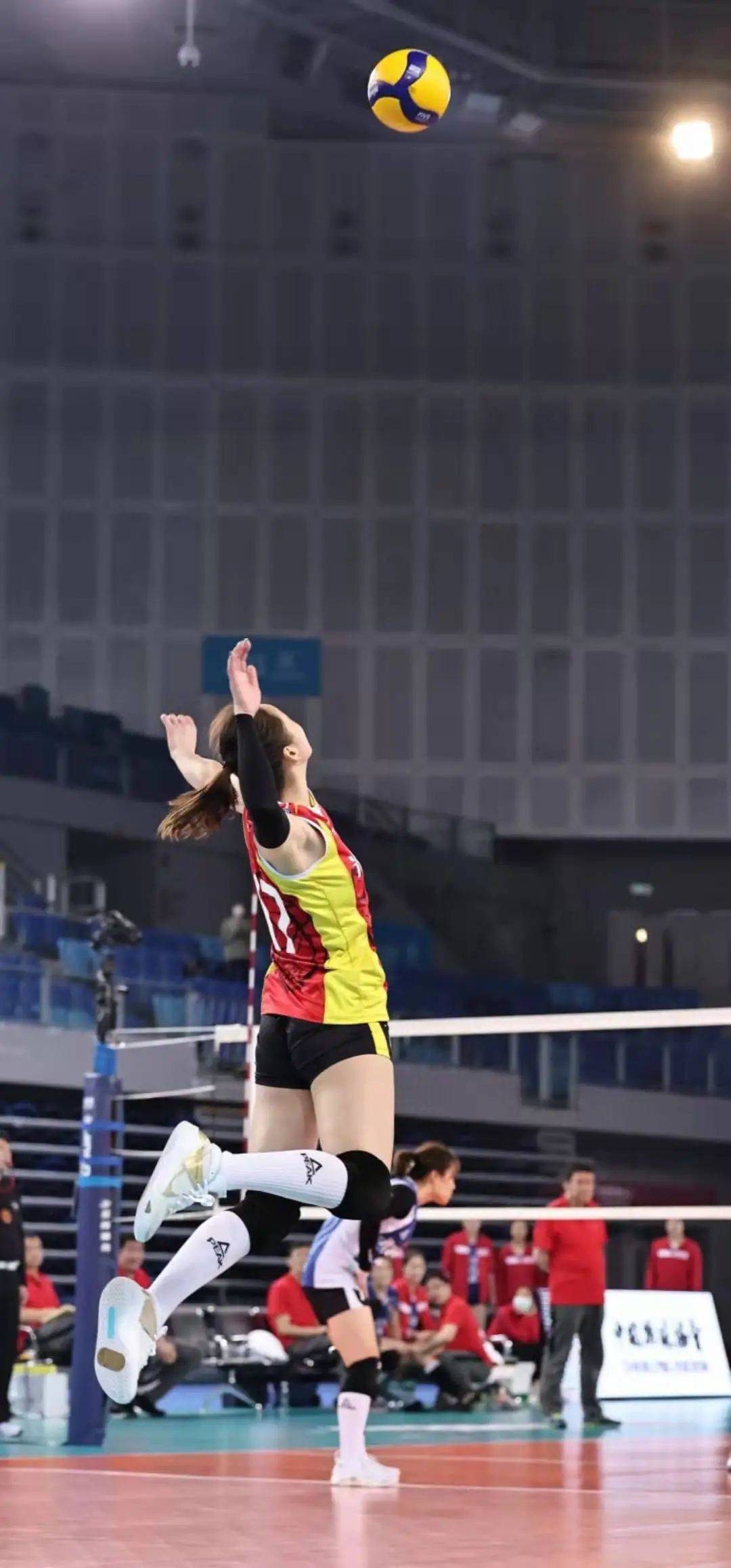 图|上海女排队员仲慧