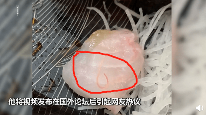 鱼肉里的寄生虫图片