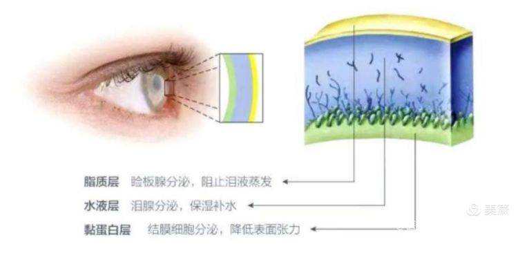 眼睛干、涩？快查查你的睑板腺！——南阳医专一附院眼科-搜狐大视野-搜狐新闻
