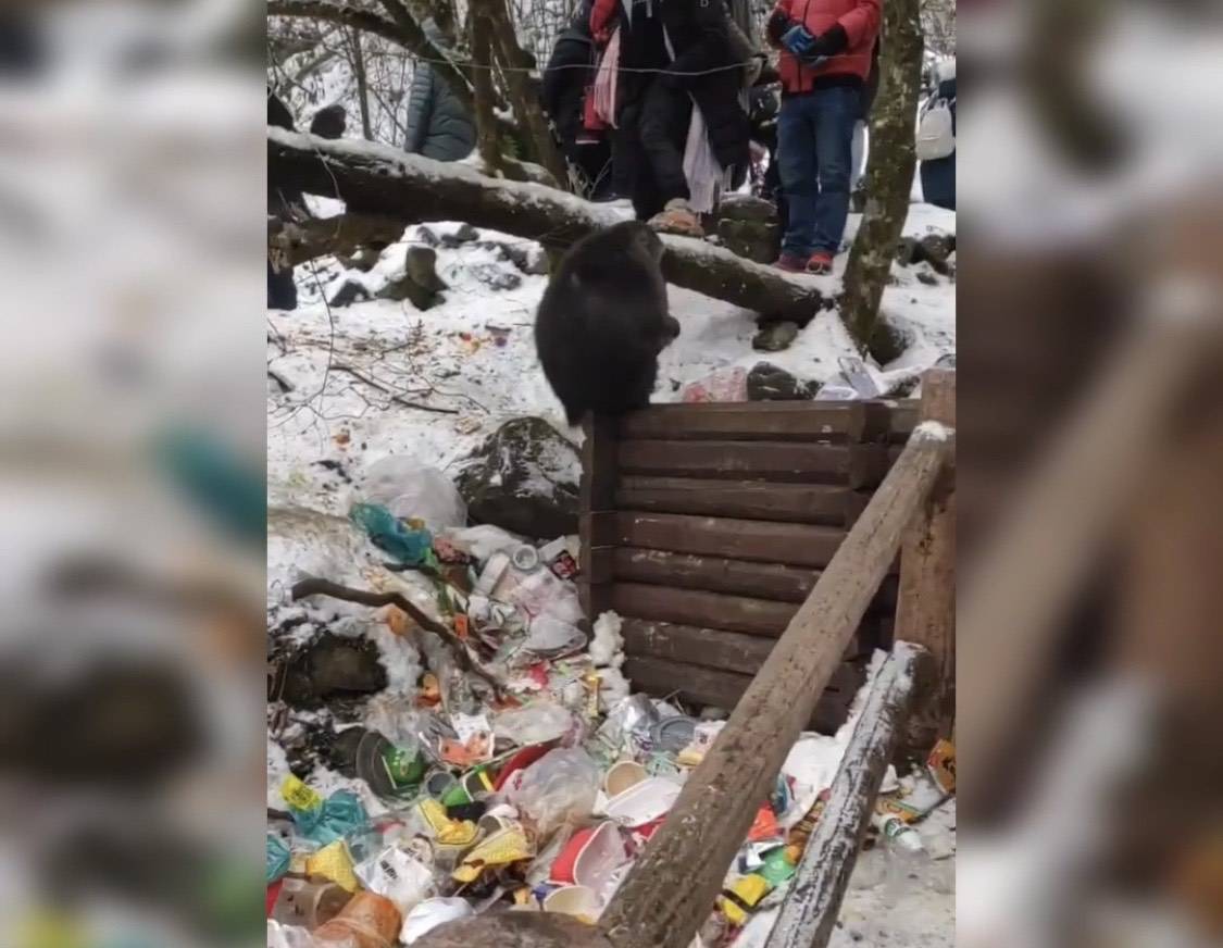 成都九峰山上垃圾遍地，猴子在垃圾堆觅食，文旅局：不建议去玩