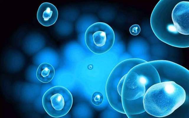 【神奇的小分子活性肽】第一章小分子肽·第四节小分子肽的营养吸收