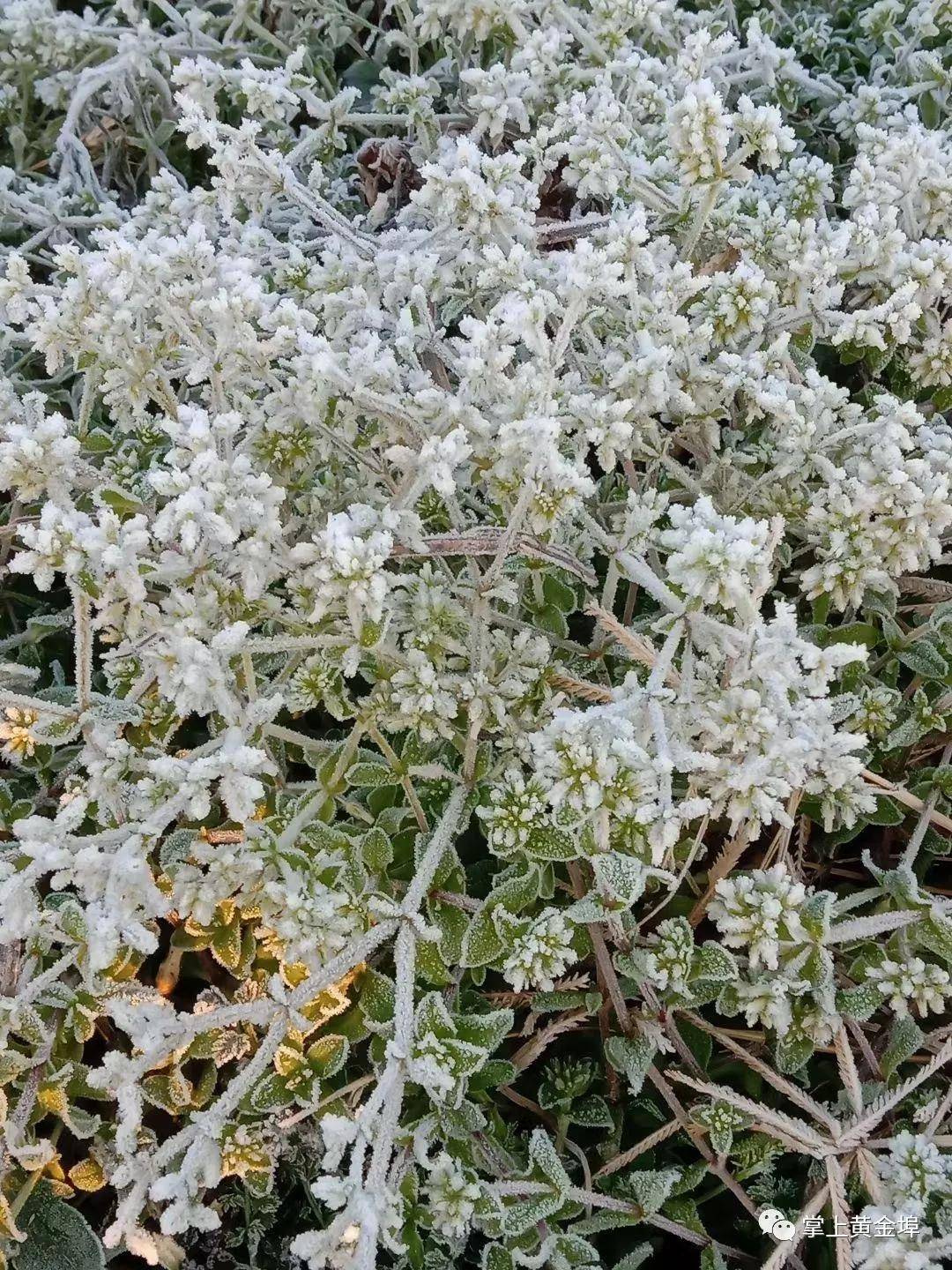 埠天气