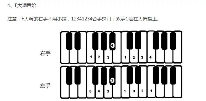 49键电子琴指法入门图片
