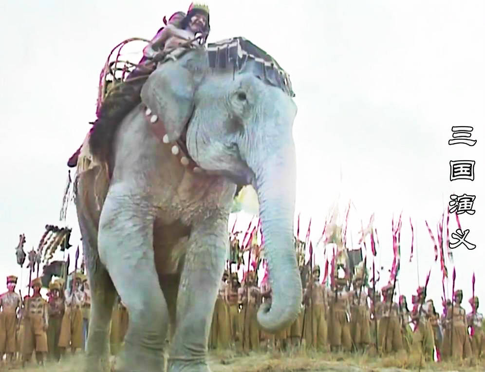 阿基米德会表示费解:这不科学_木鹿大王