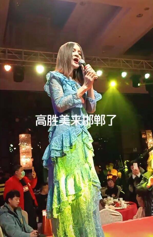 高胜美阜阳演出图片