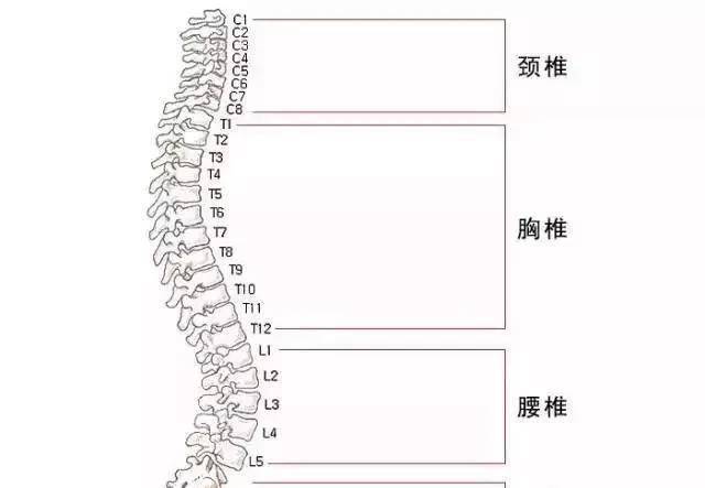 治疗颈椎的最好土方法视频教程_治疗颈椎土办法_治疗颈椎病的土方法有哪些