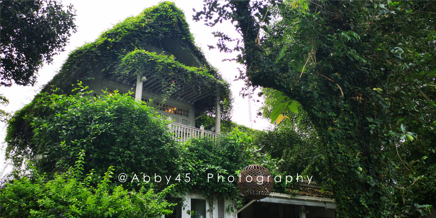 泰国清莱最美咖啡馆，位于母亲河畔无名路上，绿野仙踪般的世界