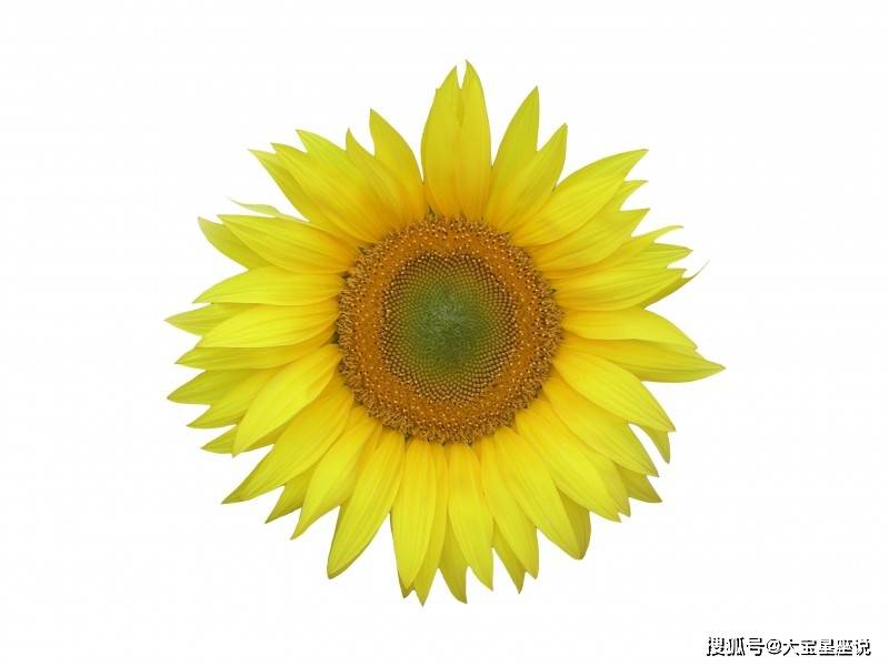 dc1f006ee53843908e84c101a75dd634.jpeg