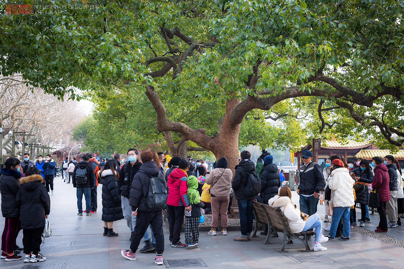 周末杭州西湖游客量剧增，个别地方是人挤人，很多人还不戴口罩
