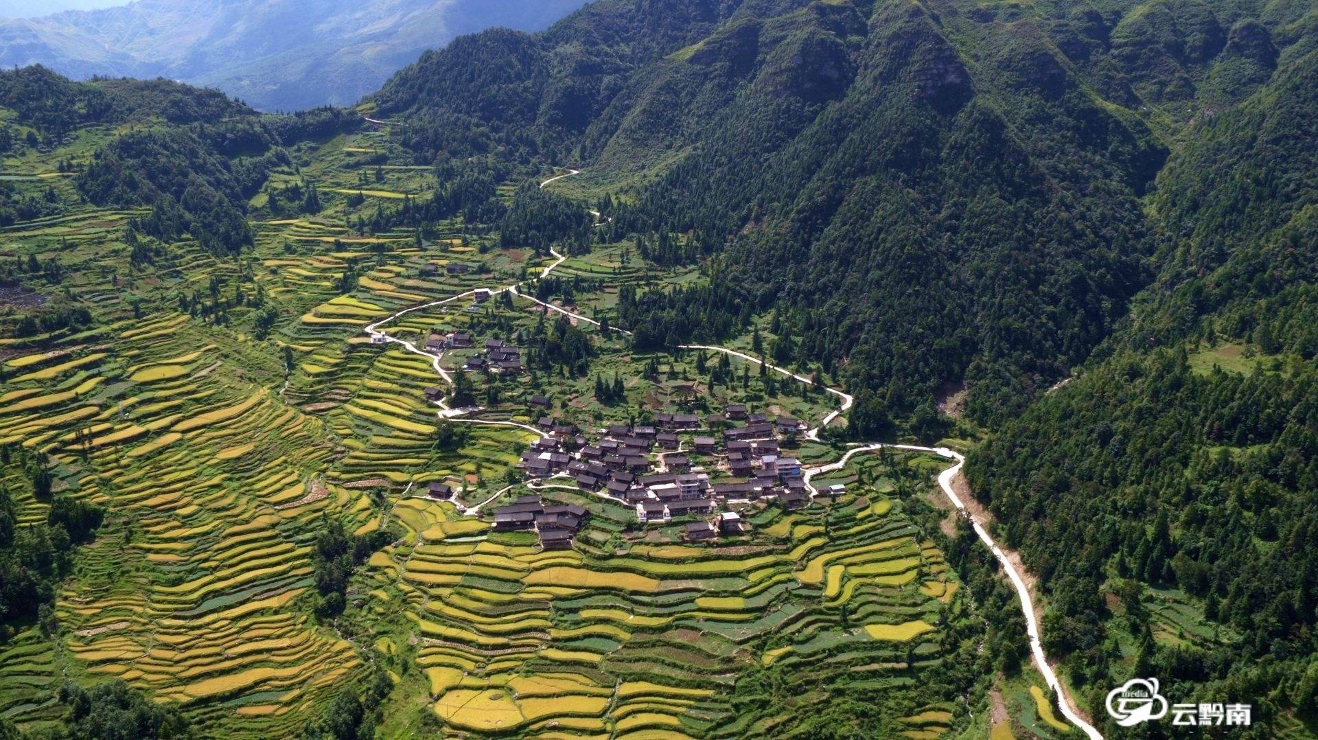 都匀农村人口_都匀毛尖图片(2)