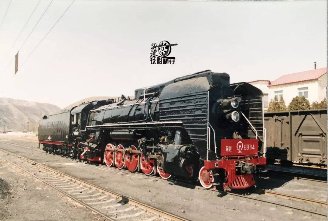 蘇鉄　大小3本 電車も小さく前にならえ～！（400回なのに与太噺）: 新Cedarの今昔写真日記