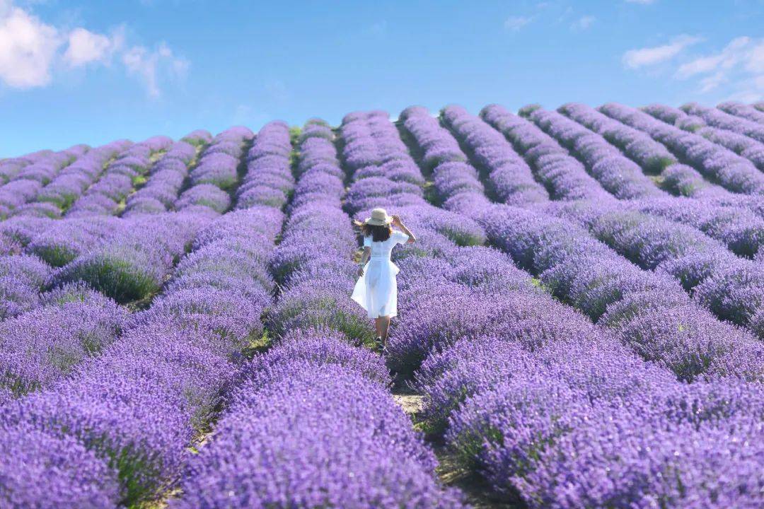 一个苏州女子 一个新疆控 年疫情之下去新疆旅行5次 乌鲁木齐