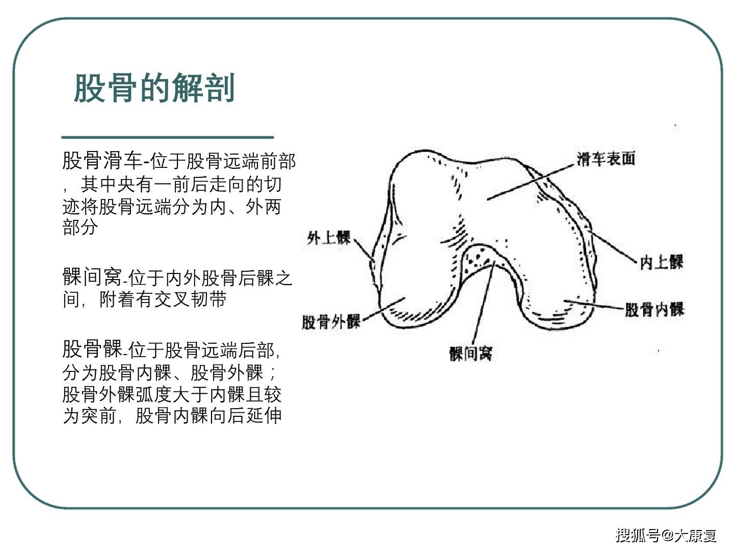 髕股關節生物力學淺識