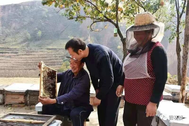 记汾阳市交通运输局驻石楼县灵泉镇营房村第一书记赵毅强