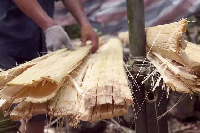 发现非遗之美》——竹纸_搜狐网