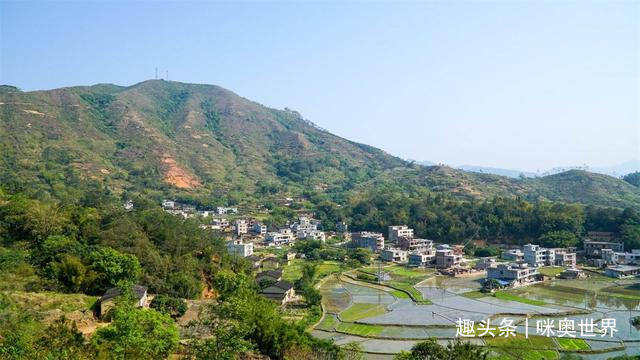 2020年茂名各县GDP_2016-2020年茂名市地区生产总值、产业结构及人均GDP统计