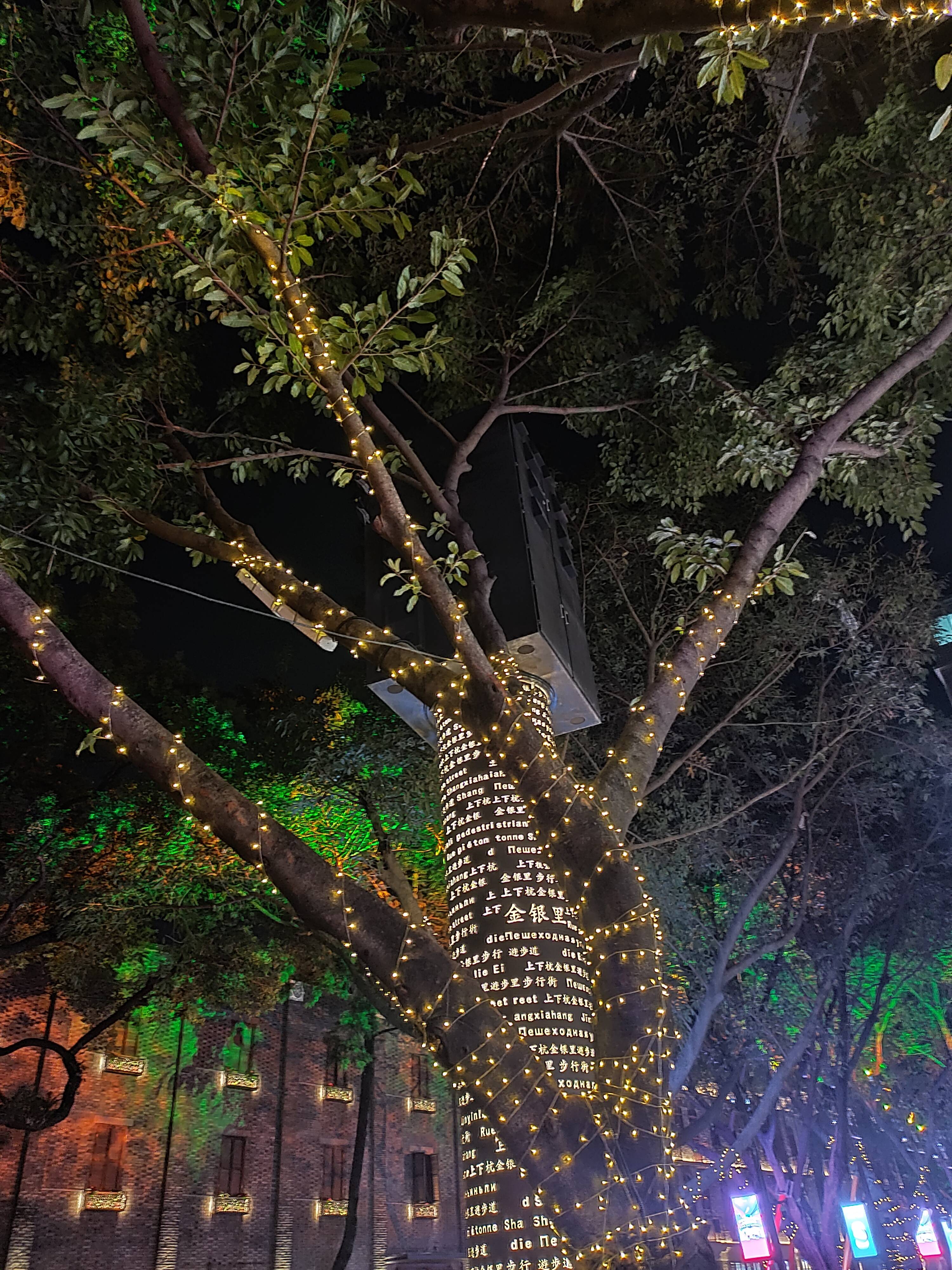 福州上下杭金银里步行街，“银杏”元素夜景太美了