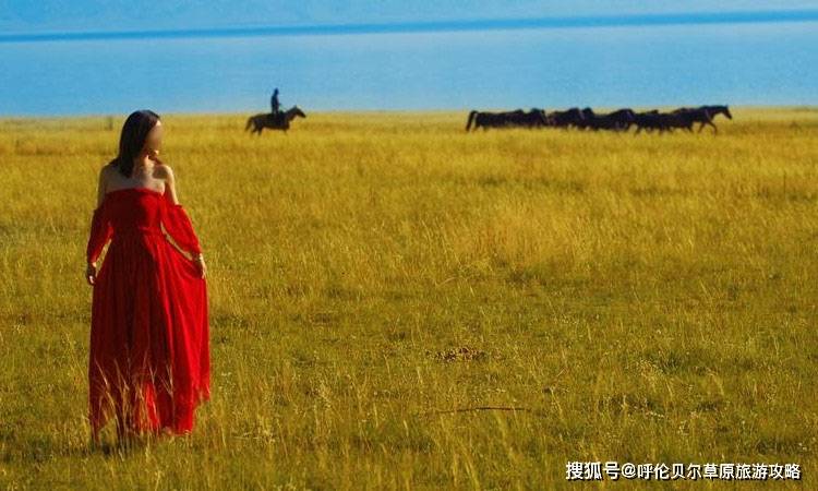 啥时候放羊最好 cbb5d2b2e98a45a6b0e415a6287ae8a0.jpeg