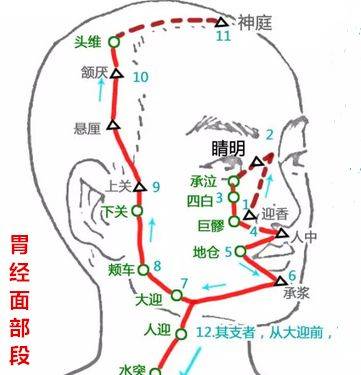 嘴唇干裂,不是因为缺水,病根在这里!