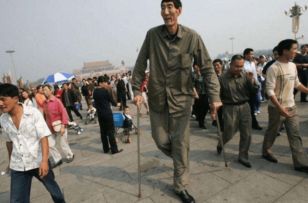 亚洲第一高人鲍喜顺图片