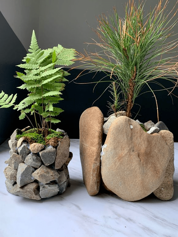 石头野草捡回家 胶水一粘变盆栽 比买的还好看 松果