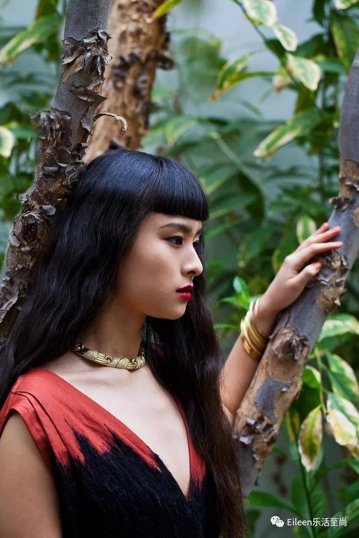 asia chow 同年,当时已经78岁的华裔食神,在电梯里偶遇社会工作专业