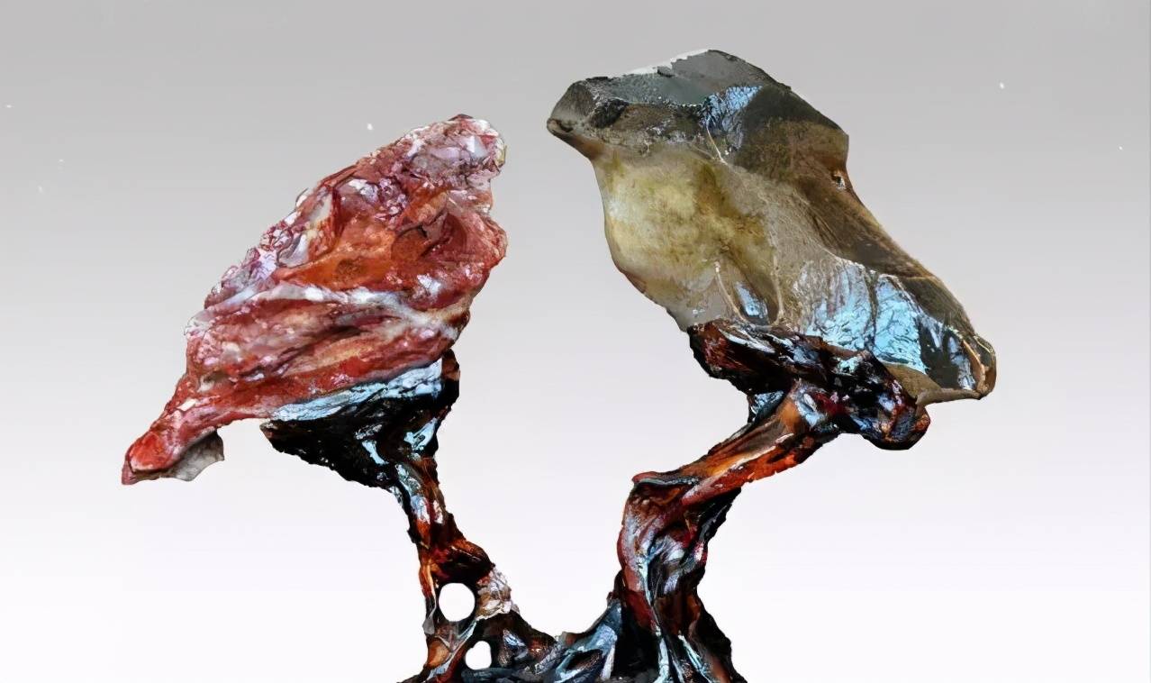 石头多了,什么鸟都有