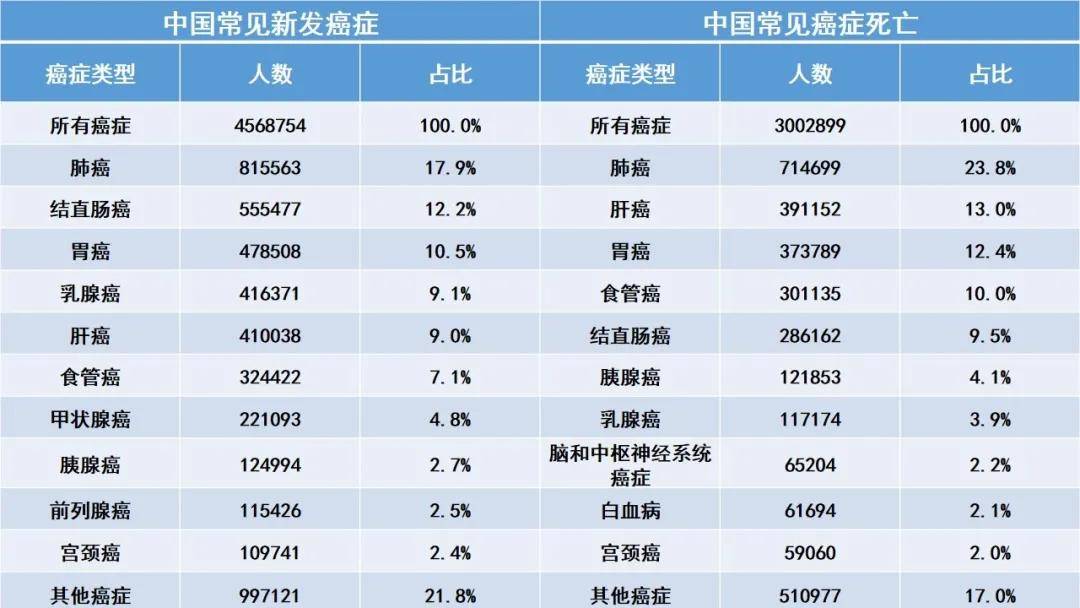 2020中国死亡人口数据_中国人口老龄化数据图(2)