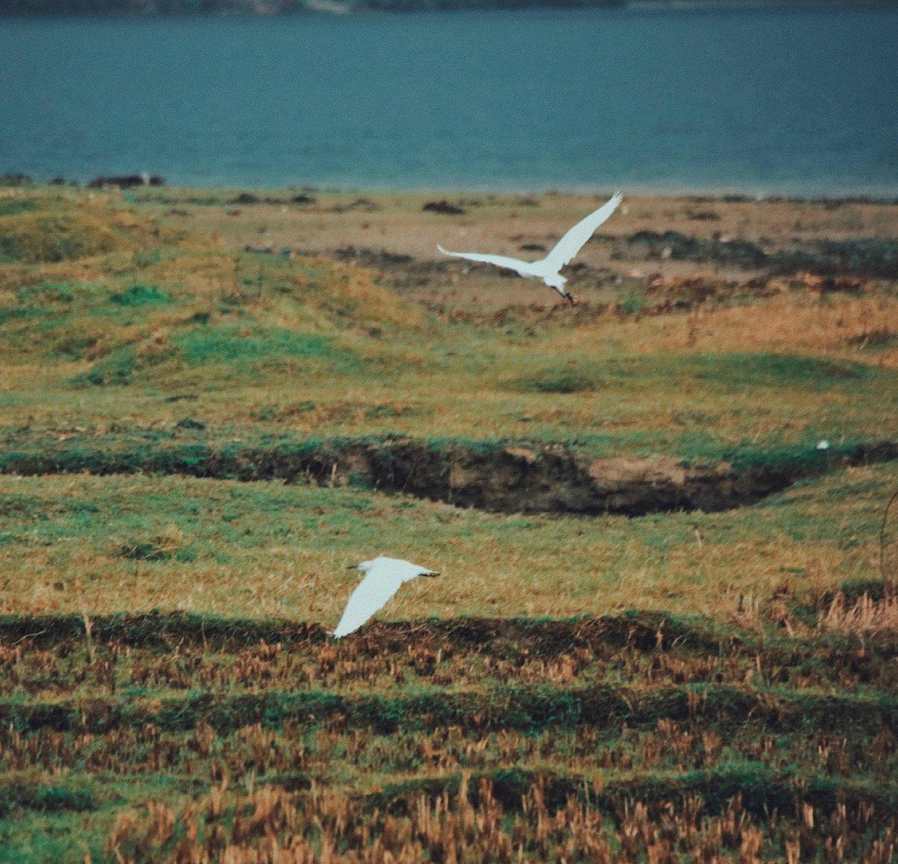 尼泊尔的费瓦湖畔,人与自然和谐共生,画面安静感人